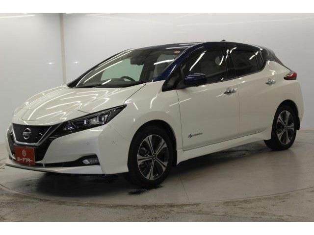 NISSAN LEAF 2021 Image 31