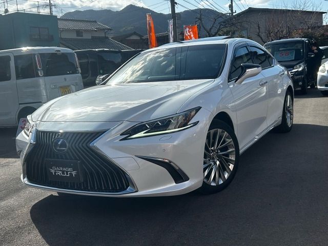 TOYOTA LEXUS ES300H 2019 Image 31