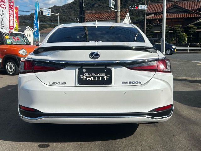 TOYOTA LEXUS ES300H 2019 Image 31