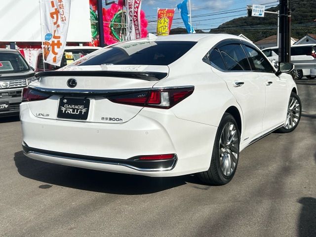 TOYOTA LEXUS ES300H 2019 Image 31