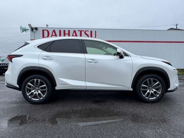 TOYOTA LEXUS NX300H 2018 Image 31