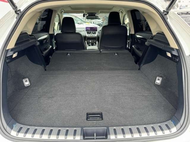 TOYOTA LEXUS NX300H 2018 Image 31