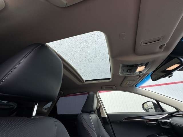 TOYOTA LEXUS NX300H 2018 Image 31