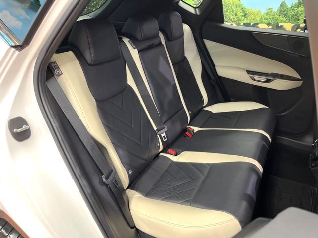 TOYOTA LEXUS NX350H 2023 Image 31