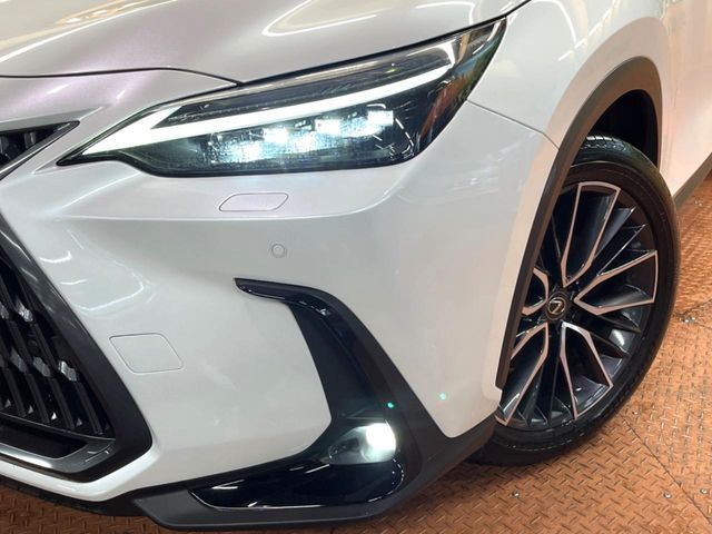 TOYOTA LEXUS NX350H 2023 Image 31