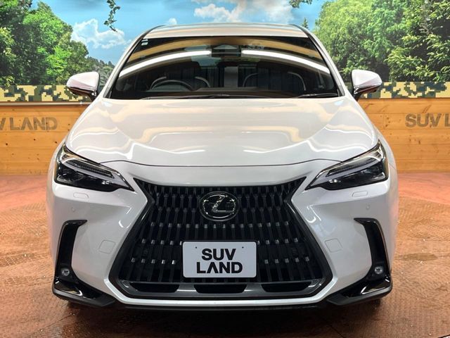 TOYOTA LEXUS NX350H 2023 Image 31