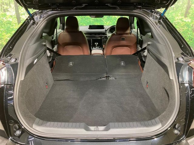 MAZDA MX-30 2023 Image 31