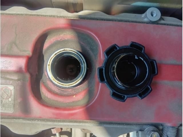 HINO LIESSE 2019 Image 31