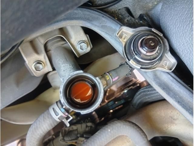 HINO LIESSE 2019 Image 31