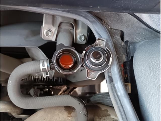 HINO LIESSE 2019 Image 31