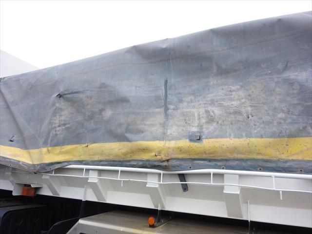 HINO PROFIA 2011 Image 31