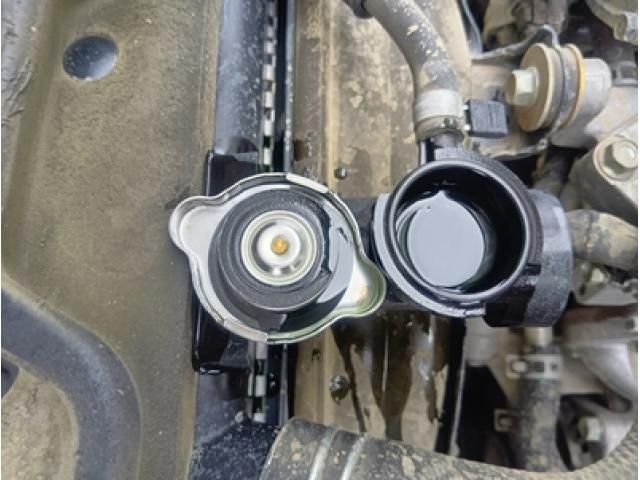 ISUZU ELF 2023 Image 31