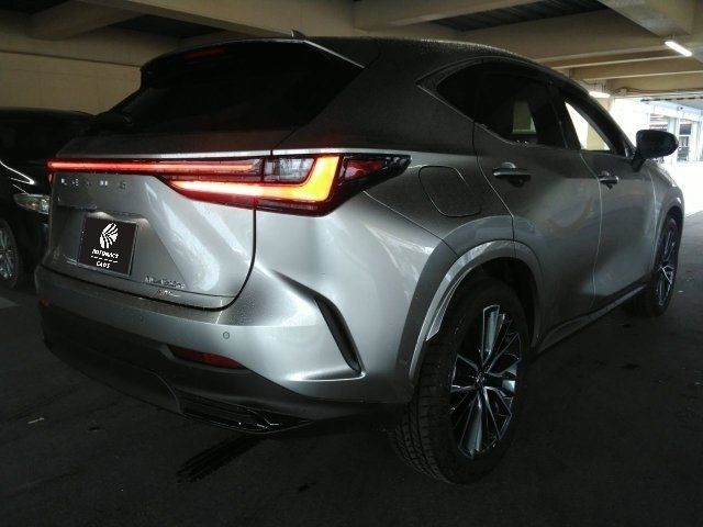 TOYOTA LEXUS NX450H+ AWD 2025 Image 31