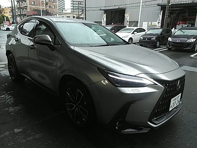 TOYOTA LEXUS NX450H+ AWD 2025 Image 31