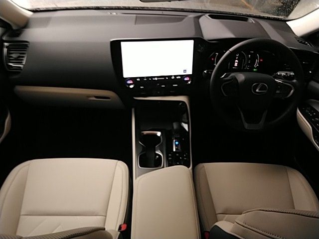 TOYOTA LEXUS NX450H+ AWD 2025 Image 31