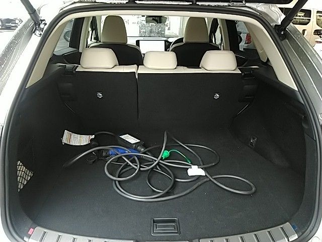 TOYOTA LEXUS NX450H+ AWD 2025 Image 31