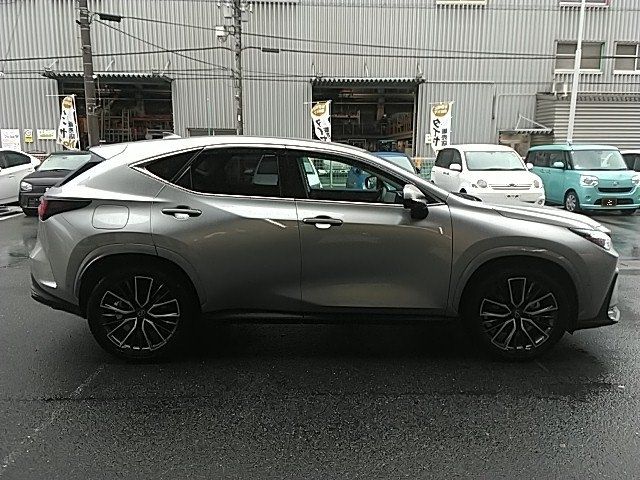 TOYOTA LEXUS NX450H+ AWD 2025 Image 31
