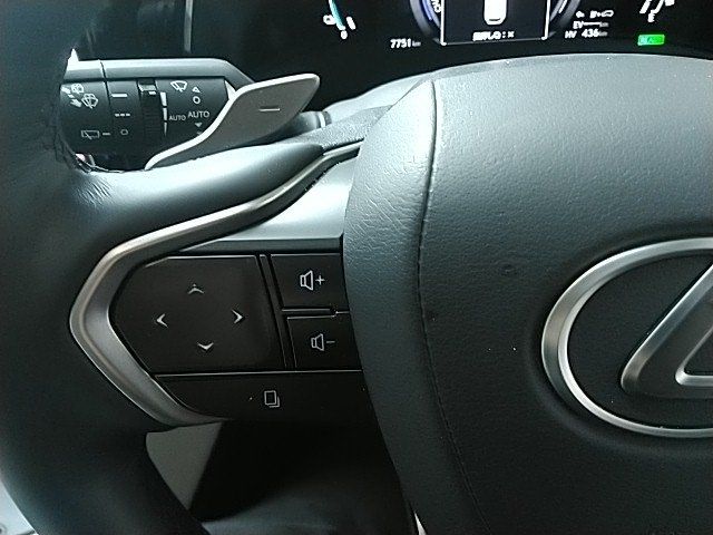 TOYOTA LEXUS NX450H+ AWD 2025 Image 31