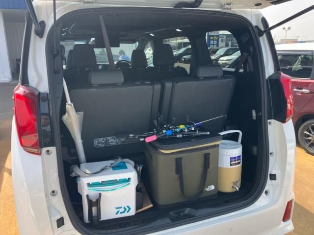 TOYOTA ALPHARD 2021 Image 31