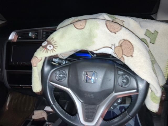 HONDA FIT HYBRID 2015 Image 31