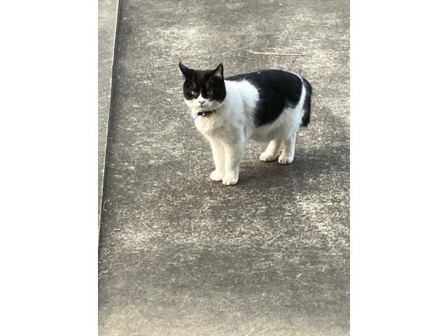 CITROEN BERLINGO 2023 Image 31