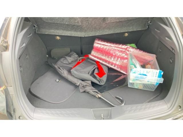 TOYOTA C-HR 2018 Image 31