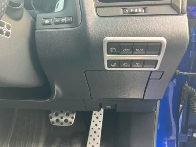 TOYOTA LEXUS RX300 AWD 2018 Image 31