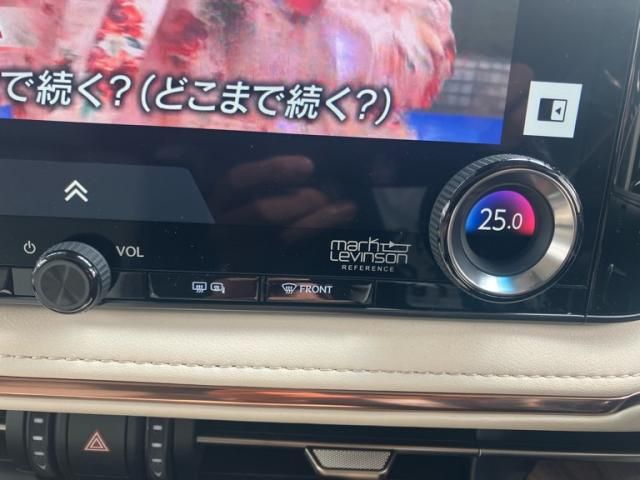 TOYOTA LEXUS LM500H 2024 Image 31