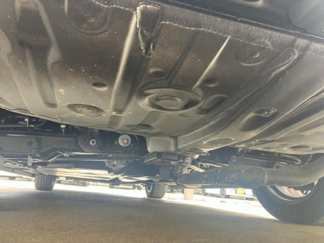 TOYOTA LEXUS LM500H 2024 Image 31