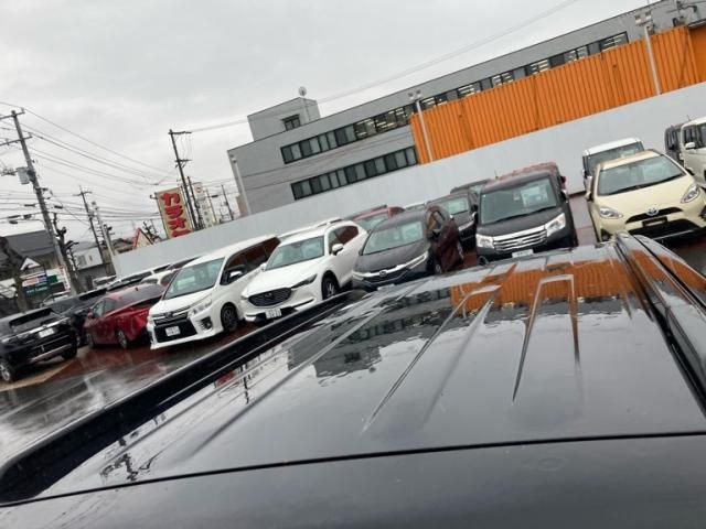 NISSAN X-TRAIL 4WD 2010 Image 31