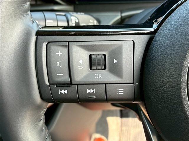 NISSAN SERENA  WG 2024 Image 31