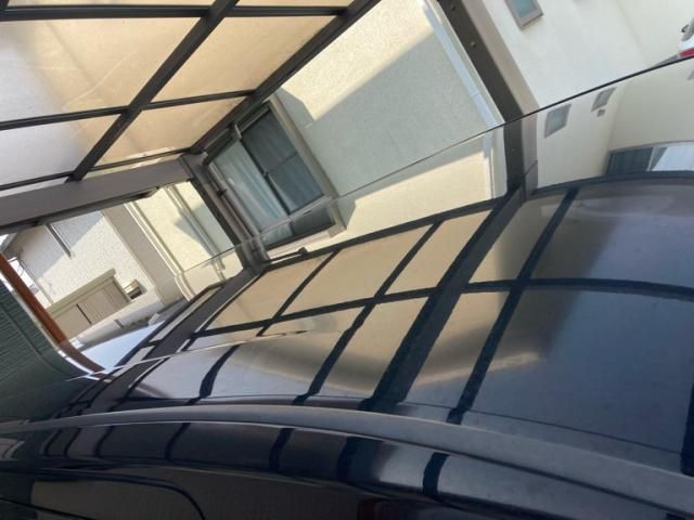 TOYOTA ALPHARD 2009 Image 31