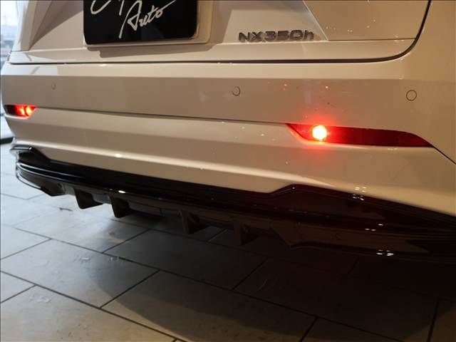 TOYOTA LEXUS NX350H 2023 Image 31