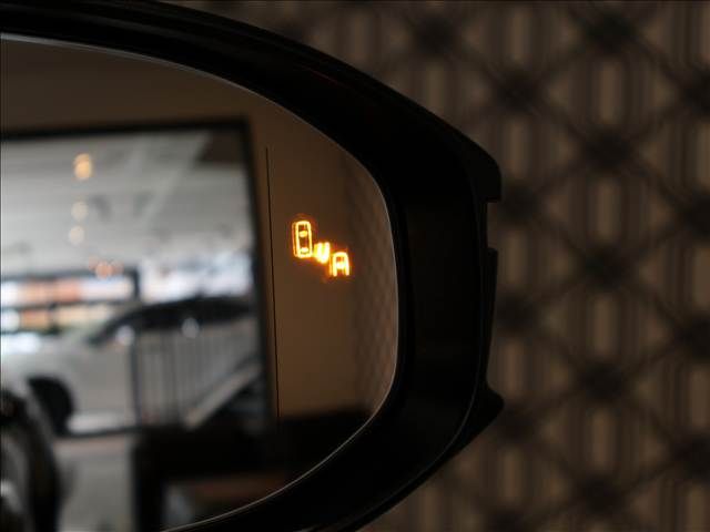 TOYOTA CROWN SPORT 2024 Image 31