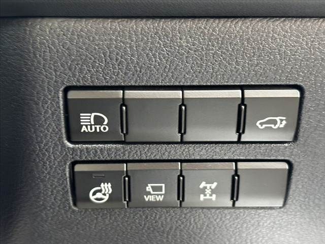 TOYOTA LEXUS NX300 AWD 2017 Image 31