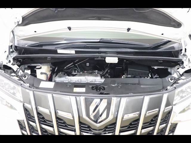 TOYOTA ALPHARD 2018 Image 31