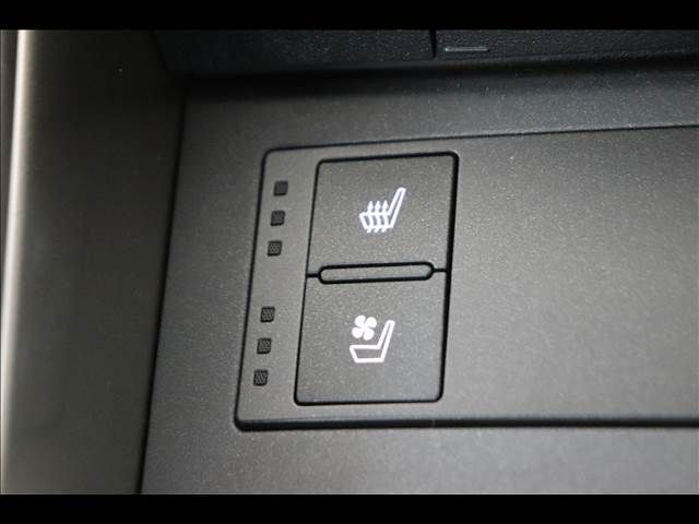 TOYOTA LEXUS IS300H 2017 Image 31