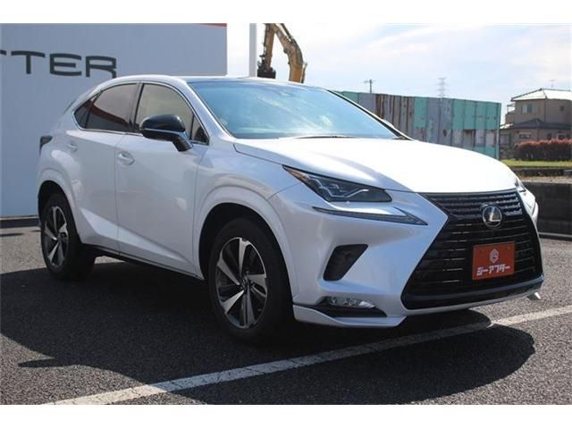 TOYOTA LEXUS NX300 2019 Image 31