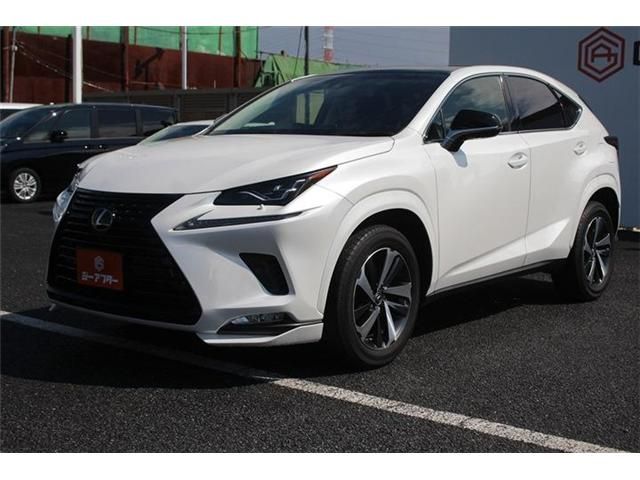 TOYOTA LEXUS NX300 2019 Image 31