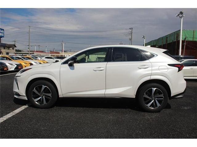TOYOTA LEXUS NX300 2019 Image 31