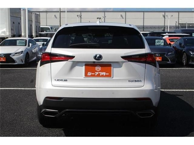 TOYOTA LEXUS NX300 2019 Image 31