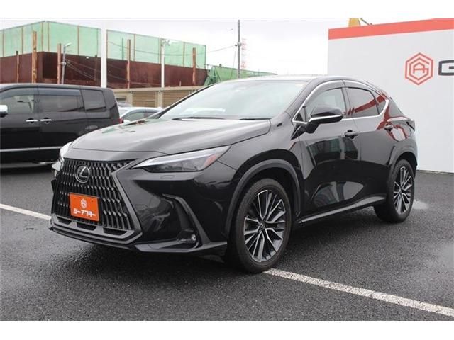 TOYOTA LEXUS NX350H AWD 2023 Image 31