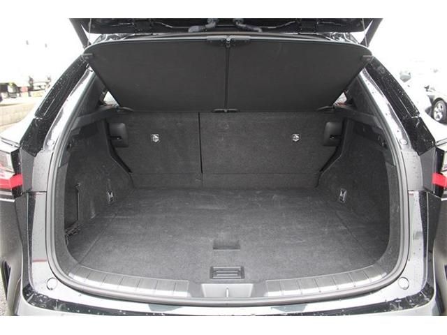 TOYOTA LEXUS NX350H AWD 2023 Image 31