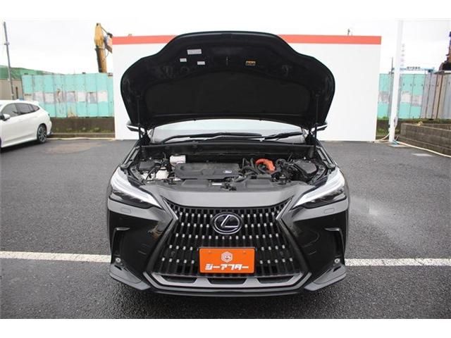 TOYOTA LEXUS NX350H AWD 2023 Image 31