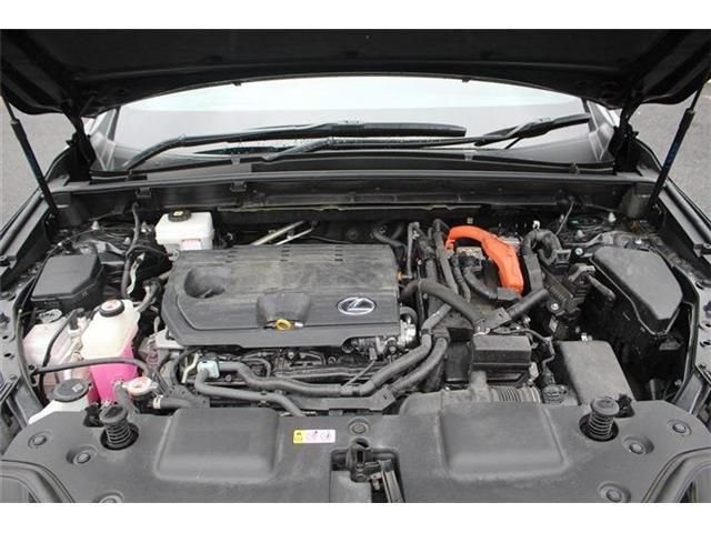 TOYOTA LEXUS NX350H AWD 2023 Image 31