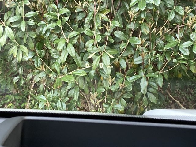 TOYOTA RAV4 HYBRID 4WD 2026 Image 31