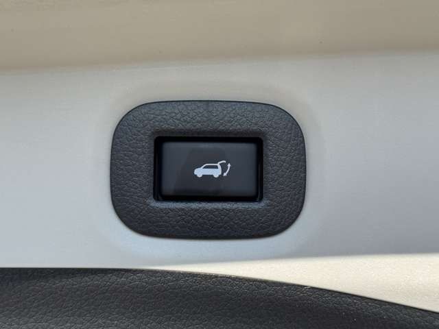 NISSAN X-TRAIL HYBRID 4WD 2015 Image 31