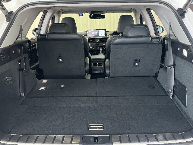 TOYOTA LEXUS RX450HL AWD 2020 Image 31