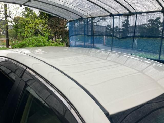 TOYOTA MARK X 2009 Image 31