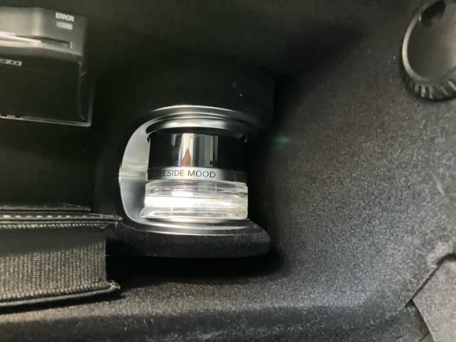 MERCEDES BENZ S CLAS 2021 Image 31